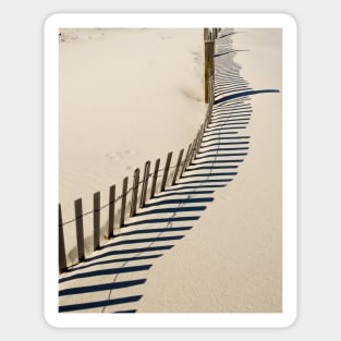 Spiny Beach Fence Sticker